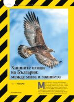 Сп. "Лов и риболов" бр. 3/2026 - Image 6