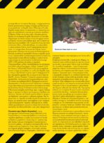 Сп. "Лов и риболов" бр. 3/2026 - Image 7