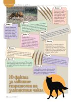 Сп. "Лов и риболов" бр. 3/2026 - Image 17