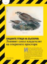 Сп. "Лов и риболов", бр. 9/2026 - Image 13